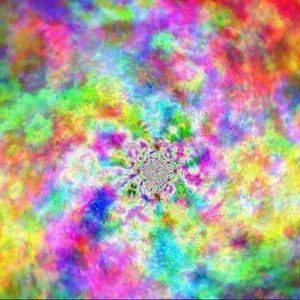 Meet your Posher, Alisa